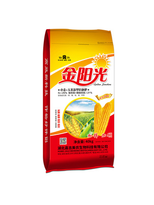 金阳光